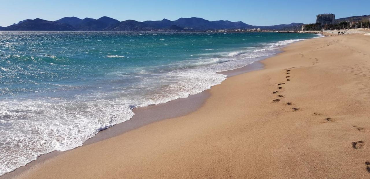 Appartement Les Pins Cannes